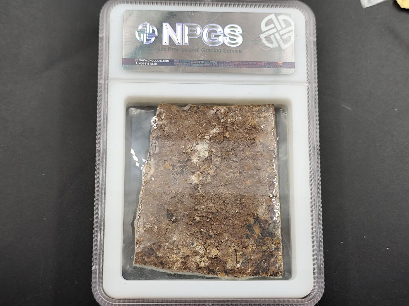 1月6日徽章钱币专场 众诚评级 狼鳍鱼化石