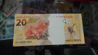 【新年五拍】世界钱币～微拍第226期暨2026年第5期   - 2010年巴西20 全新绝品无47尾号1025