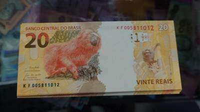 【新年五拍】世界钱币～微拍第226期暨2026年第5期   - 2010年巴西20 全新绝品无47尾号1012