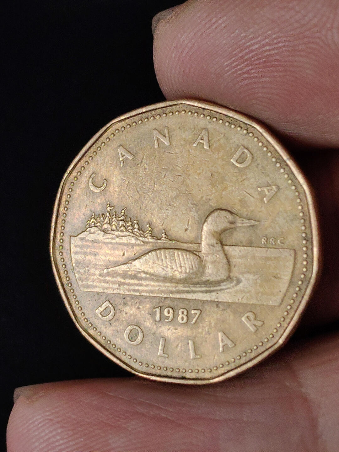 猩哥外币小铺➨【第216场】 加拿大