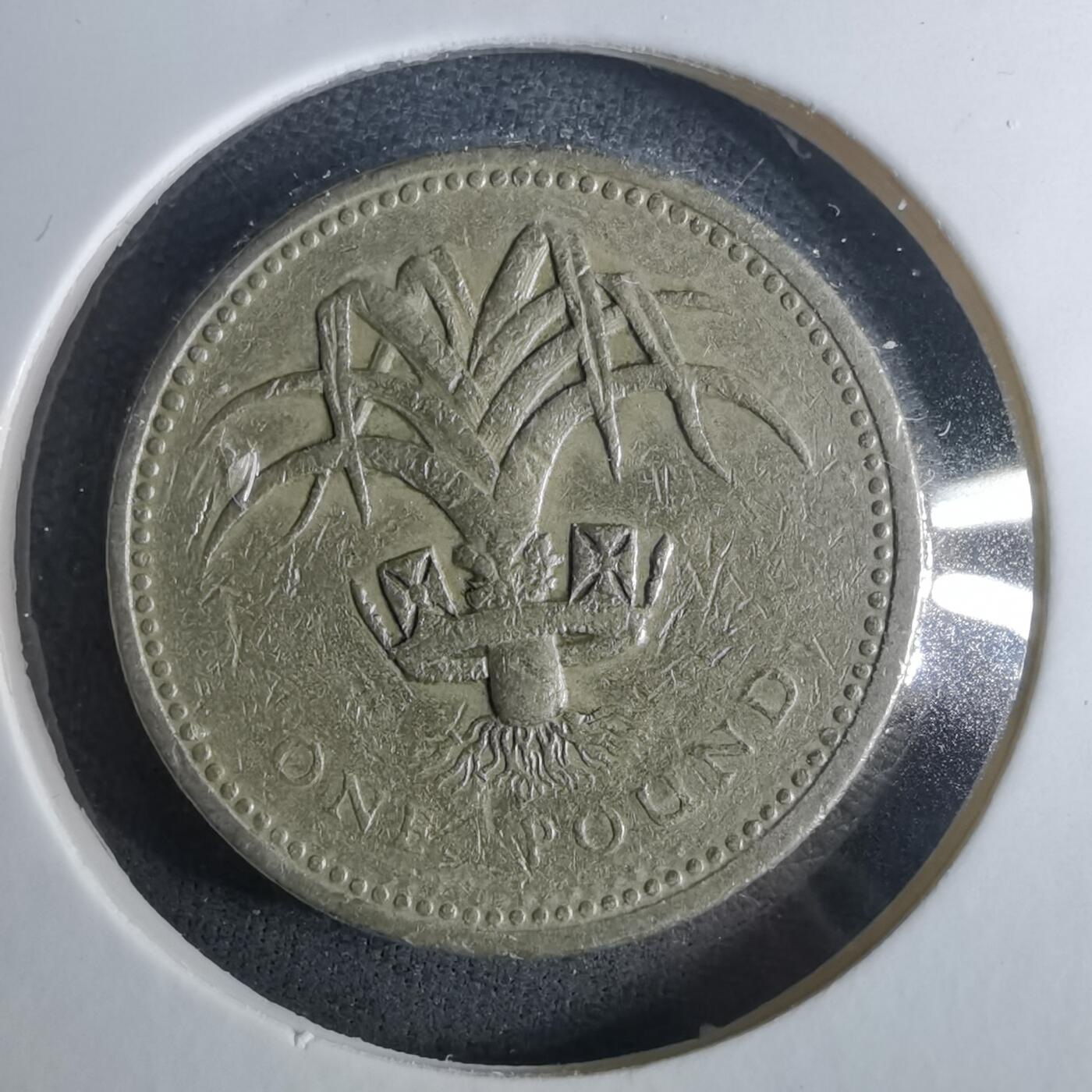 沼泽如烟--第952场 英国1985年1磅