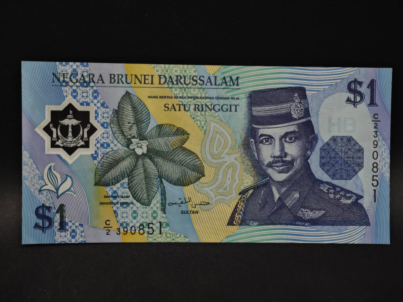 【淘币小摊】限时拍第八百四十二拍  纸币场  满百包邮可预留两周  周一统一发货  文莱1林吉特塑料钞【有折】