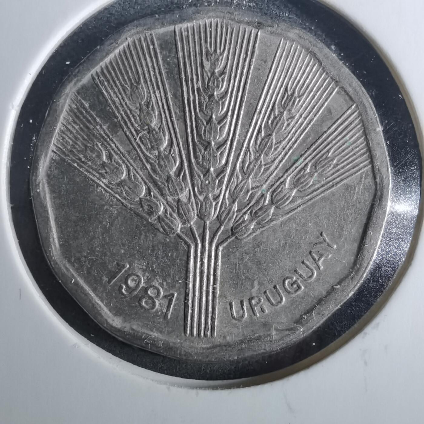 沼泽如烟--第952场 乌拉圭1981年2比索