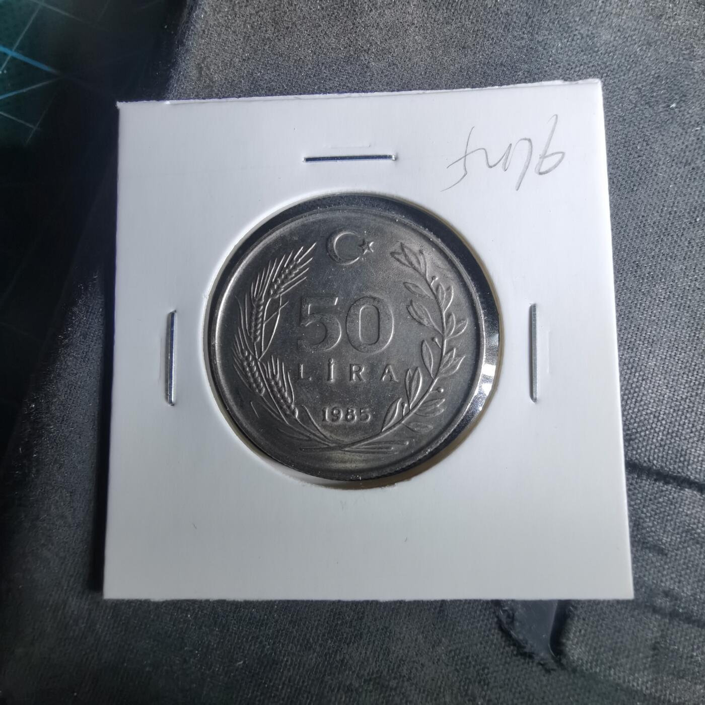 沼泽如烟--第952场