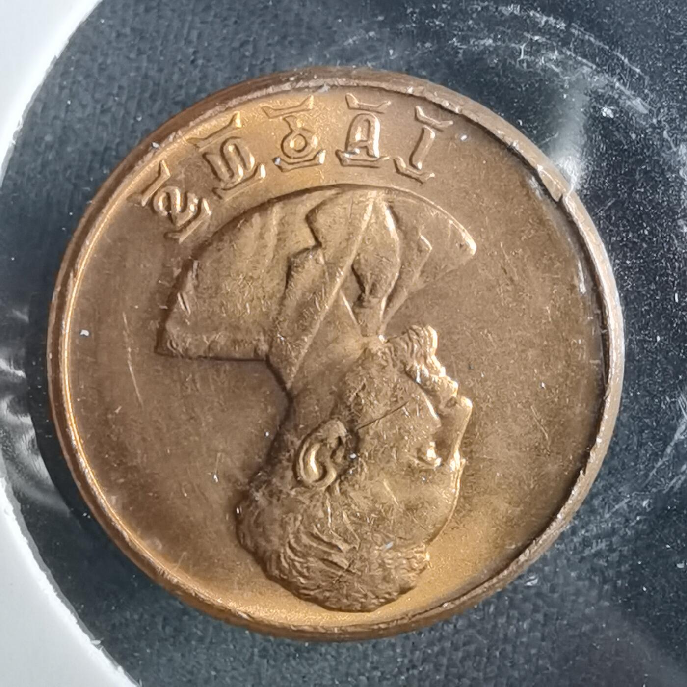 沼泽如烟--第952场 埃塞俄比亚