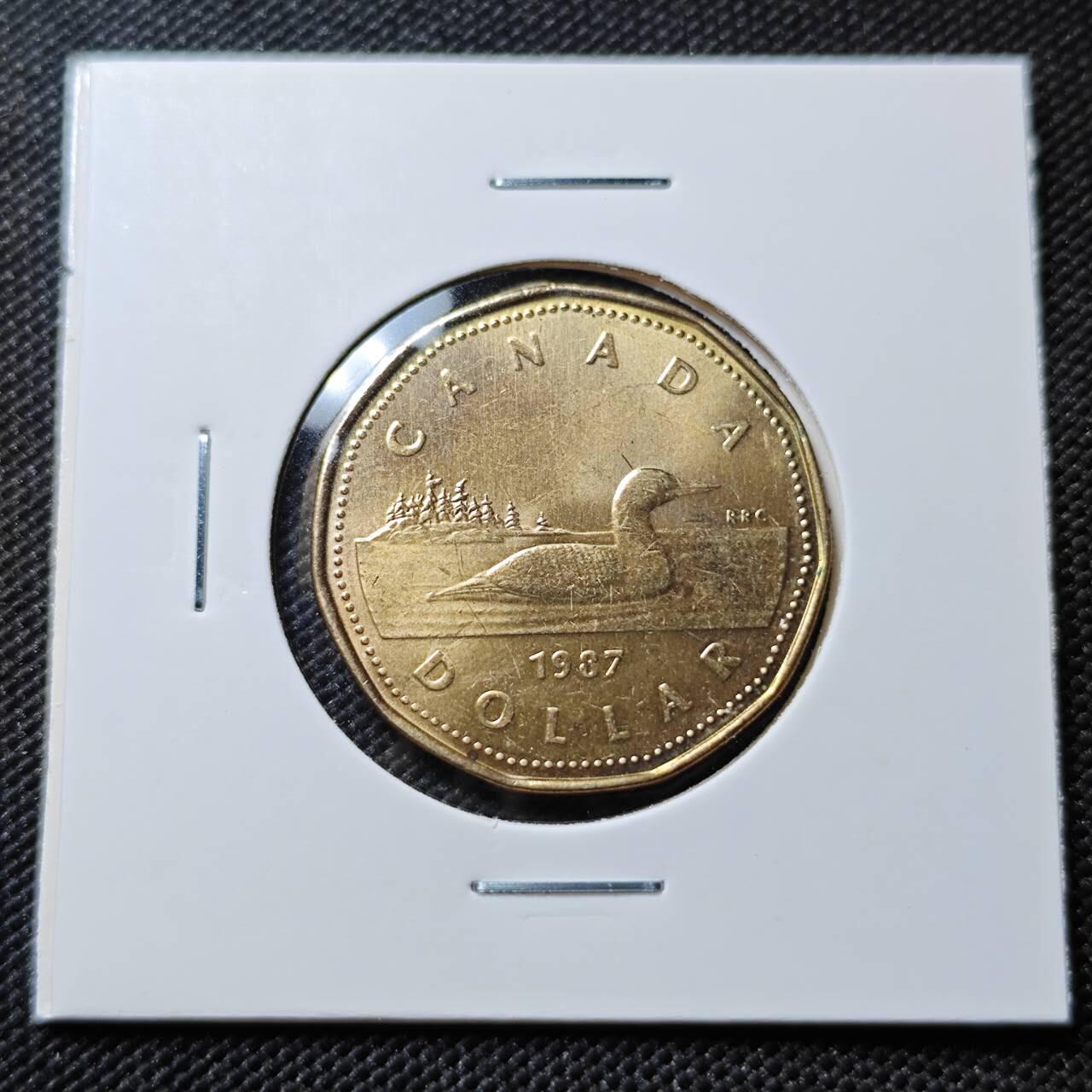 KK钱币收藏小铺  第385期  2月预留时间 周末发货  加拿大1元好品