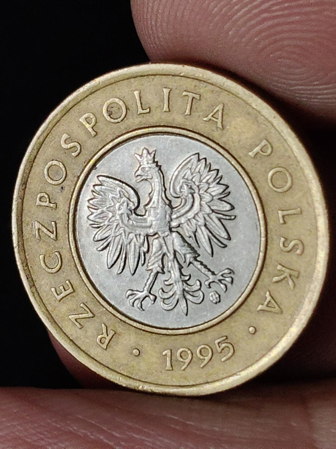 猩哥外币小铺➨【第216场】 波兰