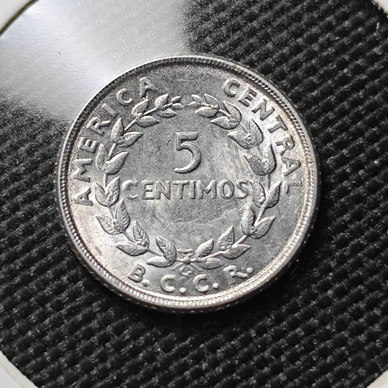 KK钱币收藏小铺  第385期  2月预留时间 周末发货