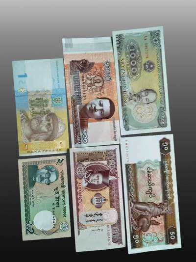 安欣票证书薇专场 - 地区粮票七张