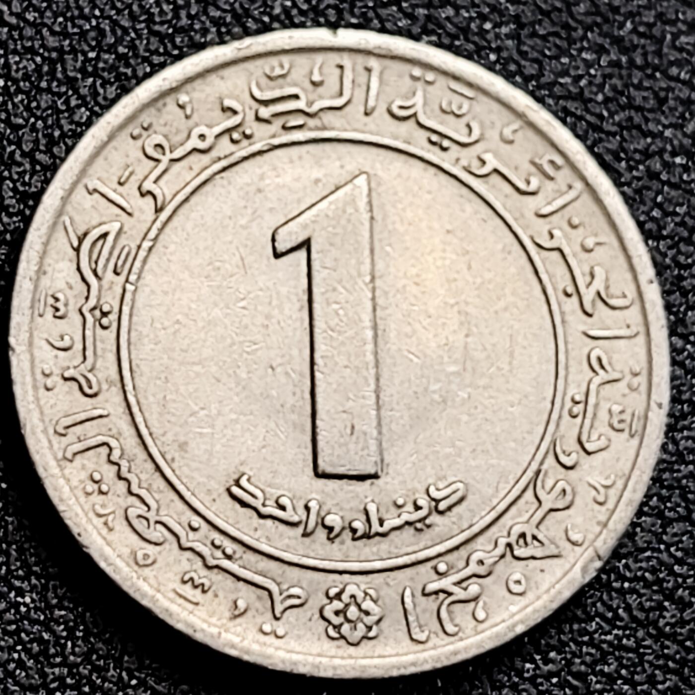 泉币菌-第162场- 新年第五场 精品福利场