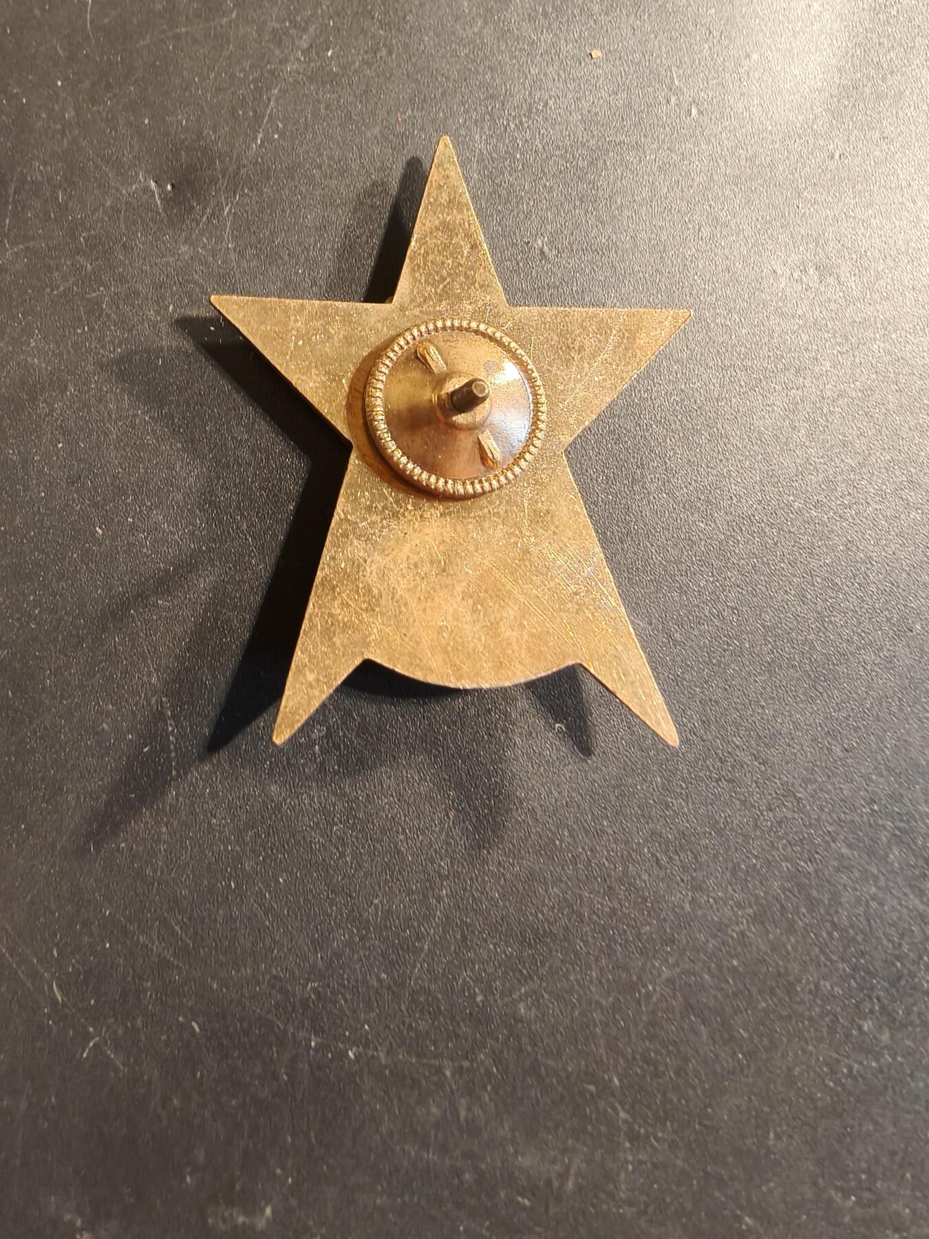 老王徽章第174期 苏联内务部高级政治学院证章