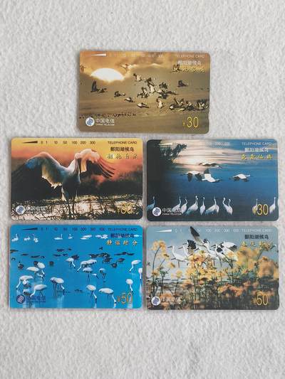 易卡拍卖第67期 候鸟。（国卡系列）易卡五星⭐️标。如图所示！