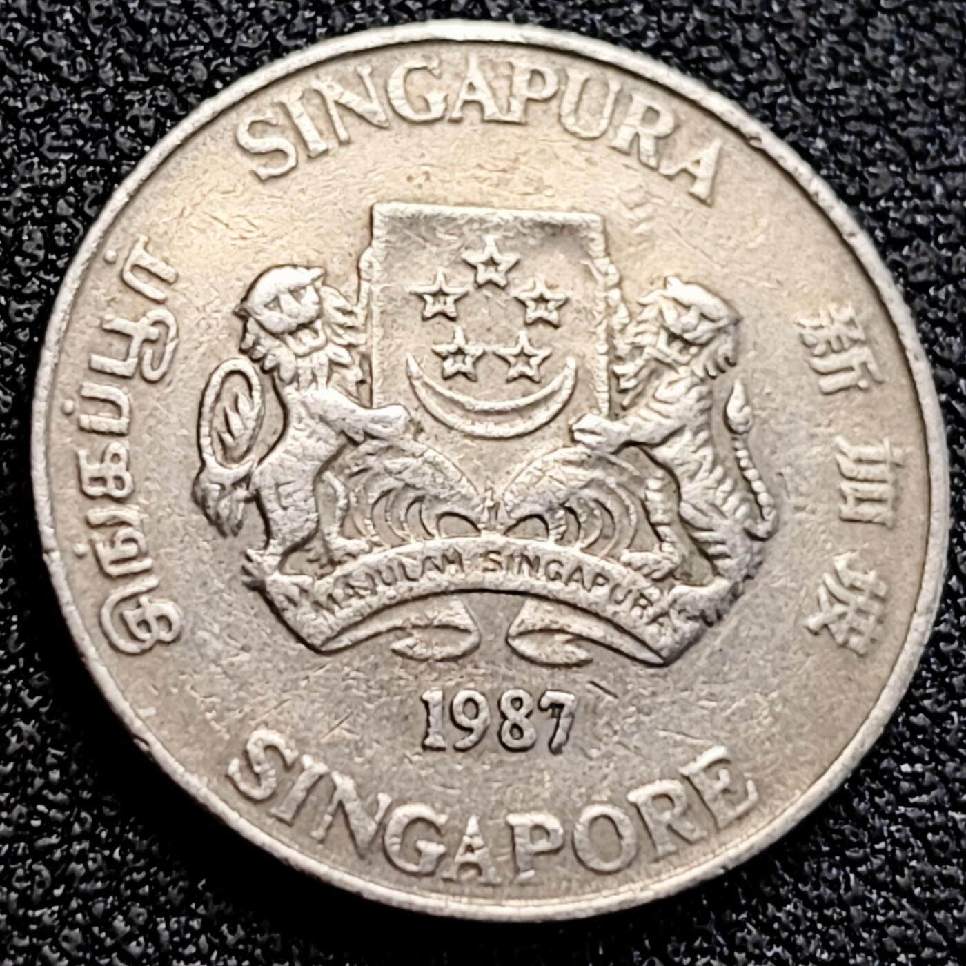 泉币菌-第163场-新年第六场 精品福利场 。