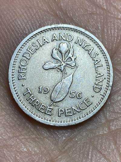 2026年第三场(总第一百七十二场）外国好品散币场(免佣金) - 罗德西亚和尼亚萨兰1956年3便士(伊丽莎白二世青年桂冠)