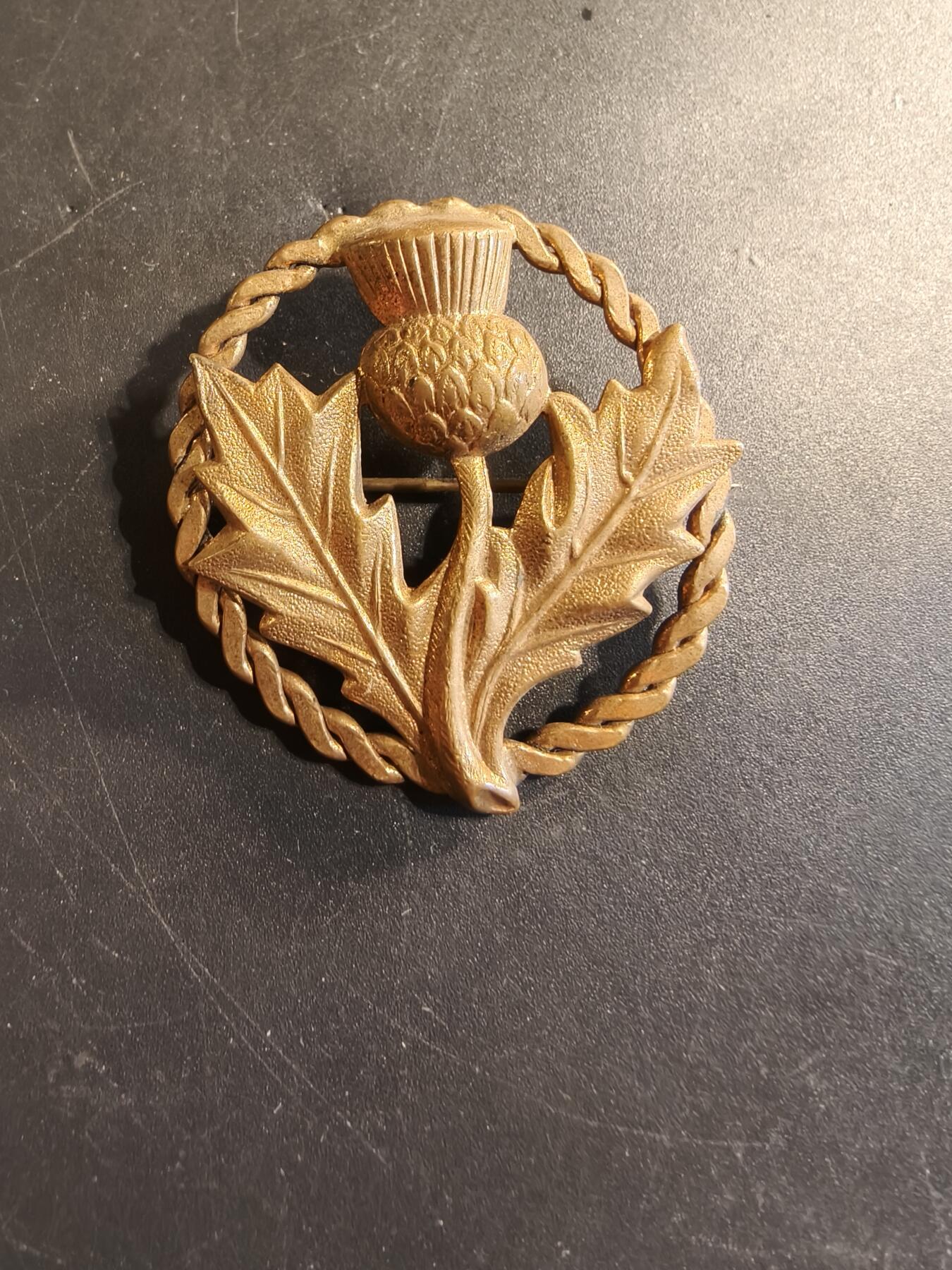 老王徽章第174期 苏格兰蓟花证章