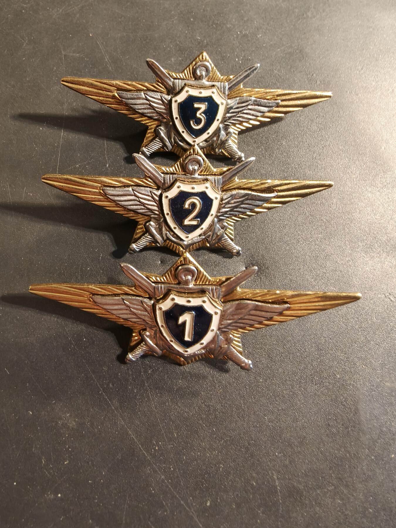 老王徽章第174期 俄罗斯空军123级飞行员技能章一组