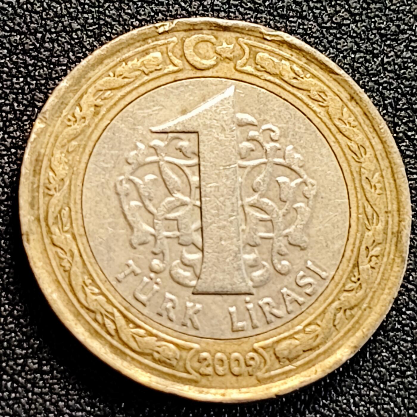 泉币菌-第163场-新年第六场 精品福利场