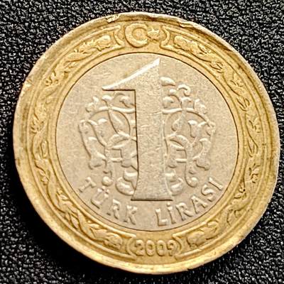 泉币菌-第163场-新年第六场 精品福利场 - 凯末尔总统 土耳其1里拉硬币 26.15毫米 8.2克,