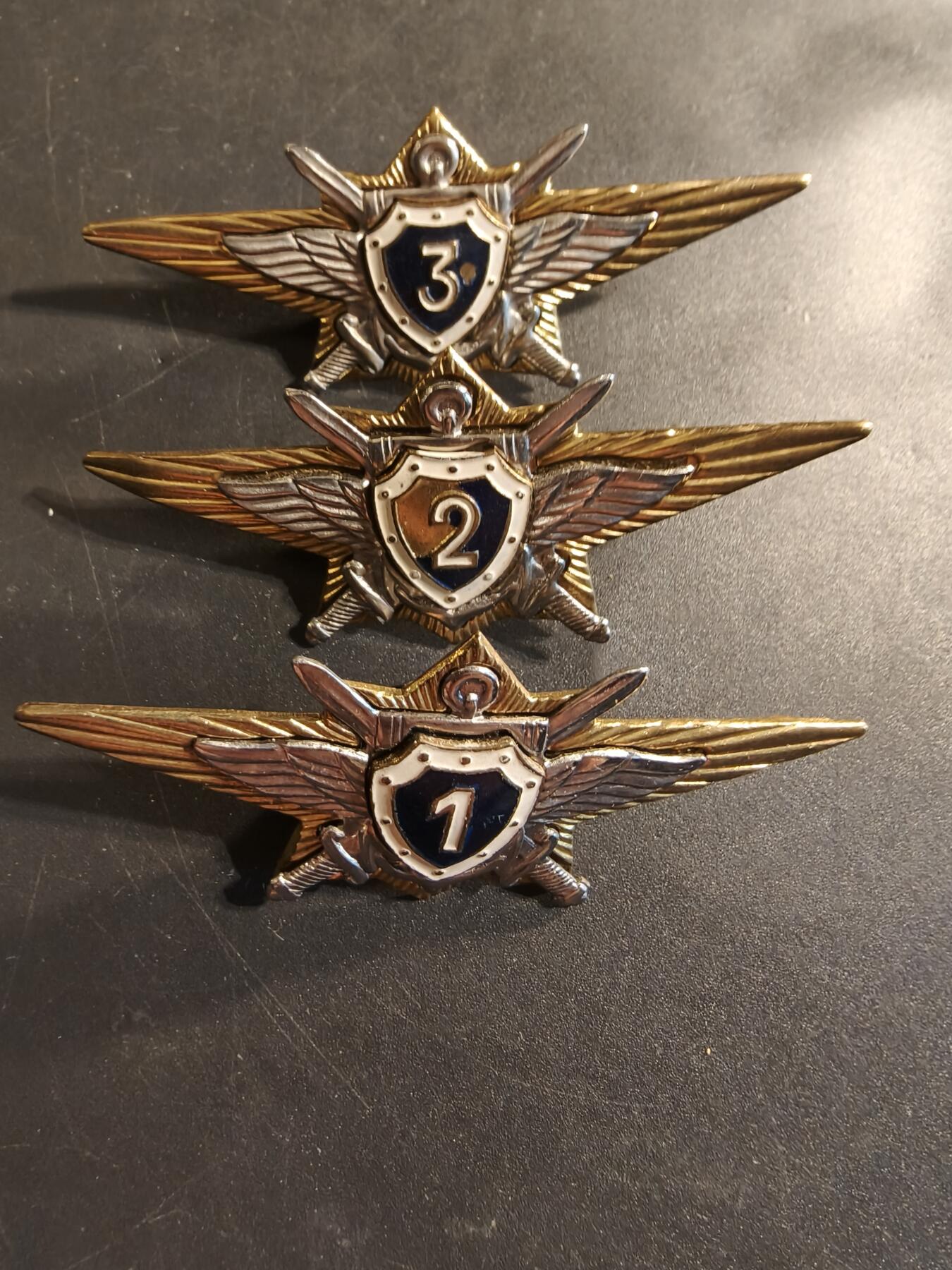 老王徽章第174期 俄罗斯空军123级飞行员技能章一组