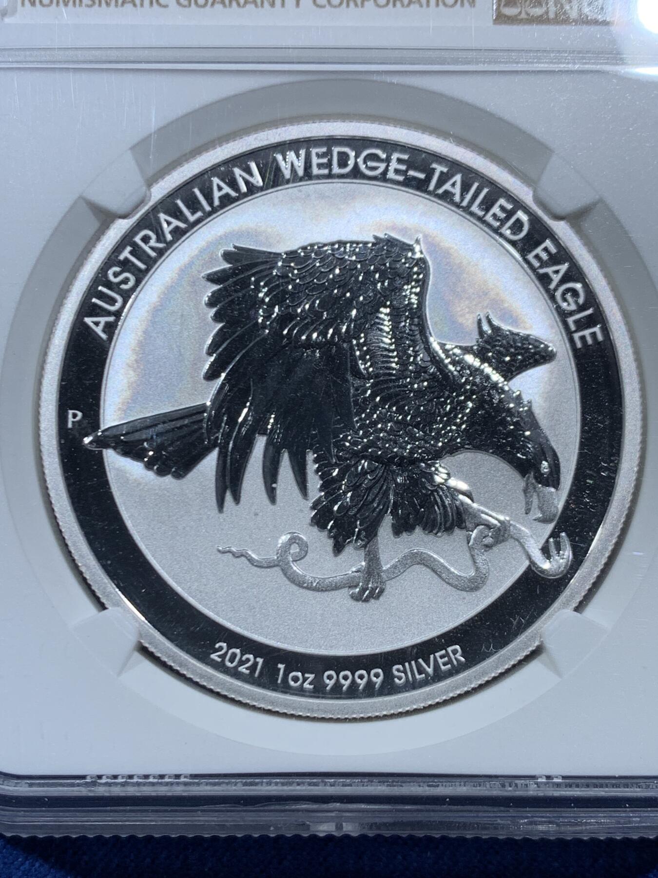 《竞宝斋》第454场 周日，周一 2场连拍 （全场包邮，欢迎送拍） NGC MS69 澳大利亚2021年抓蛇的楔尾鹰一盎司银币，好品可藏