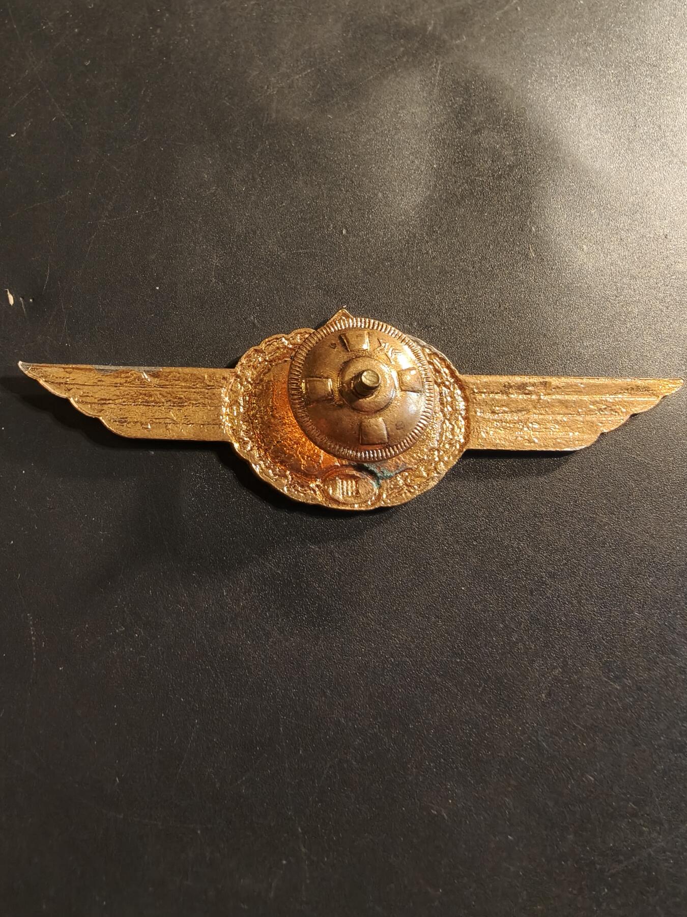 老王徽章第174期 东德伞降2级技能章