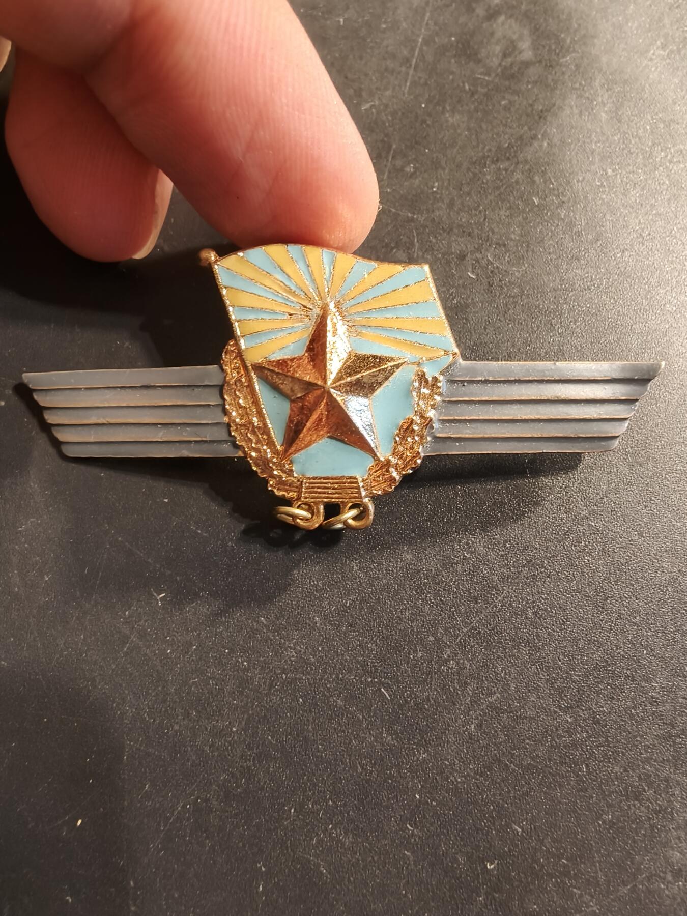 老王徽章第174期 苏联空军超期服役证章