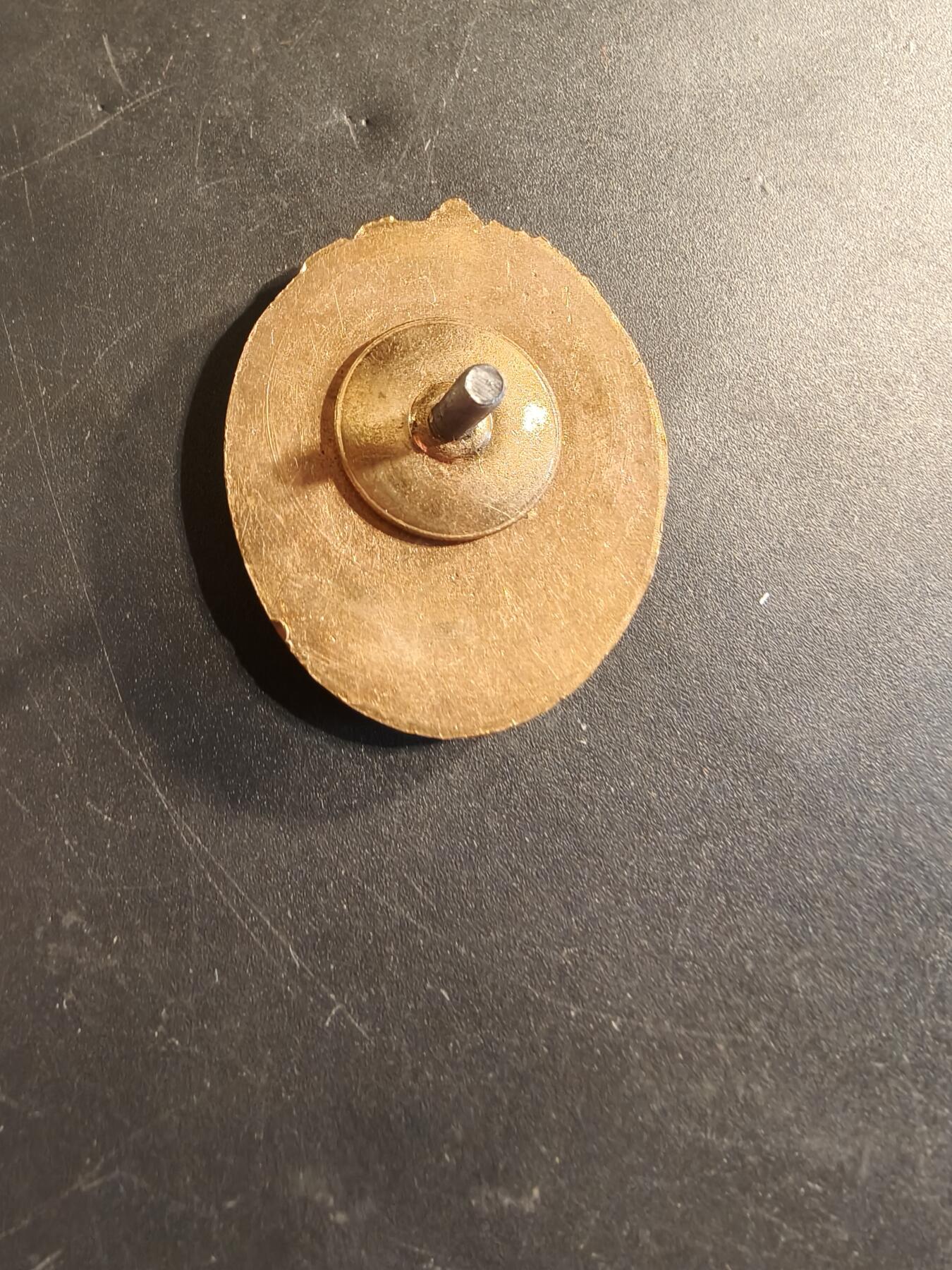 老王徽章第174期 苏联时期莫斯科内务部下属交通警察总局训练中心证章