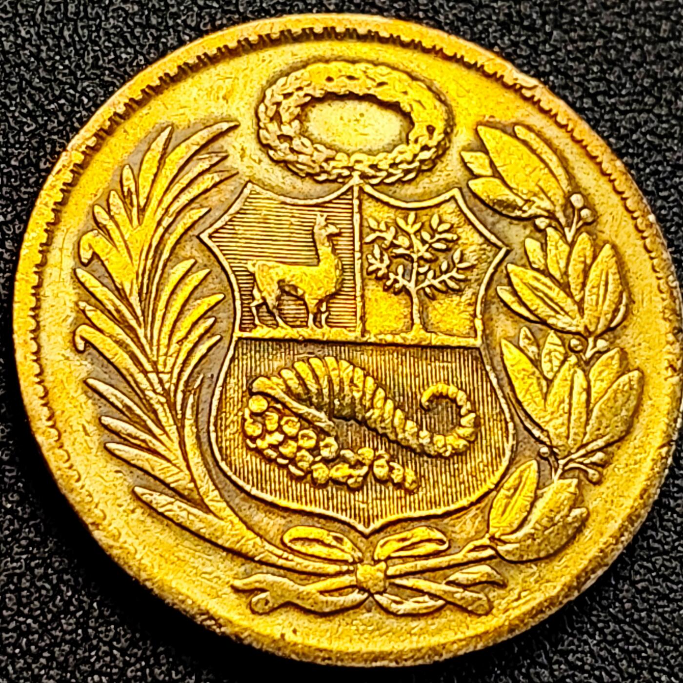 泉币菌-第163场-新年第六场 精品福利场 秘鲁1964年1索尔 骆马 金鸡纳树 羊角 黄铜币  33mm