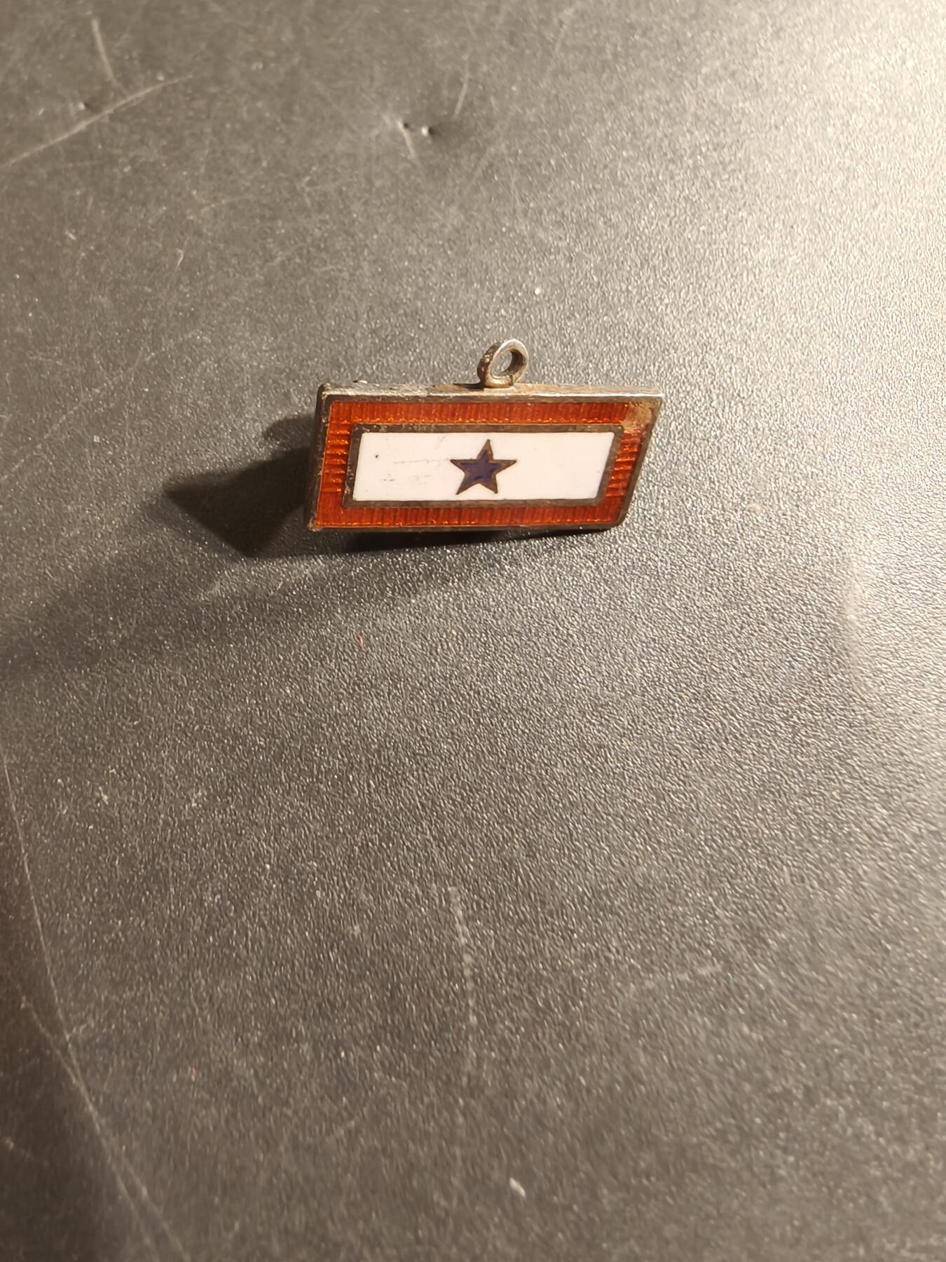 老王徽章第174期