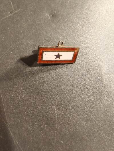 老王徽章第174期 - 美国二战蓝星勋章证章   925银镀金珐琅   横针版    1.9g     一星