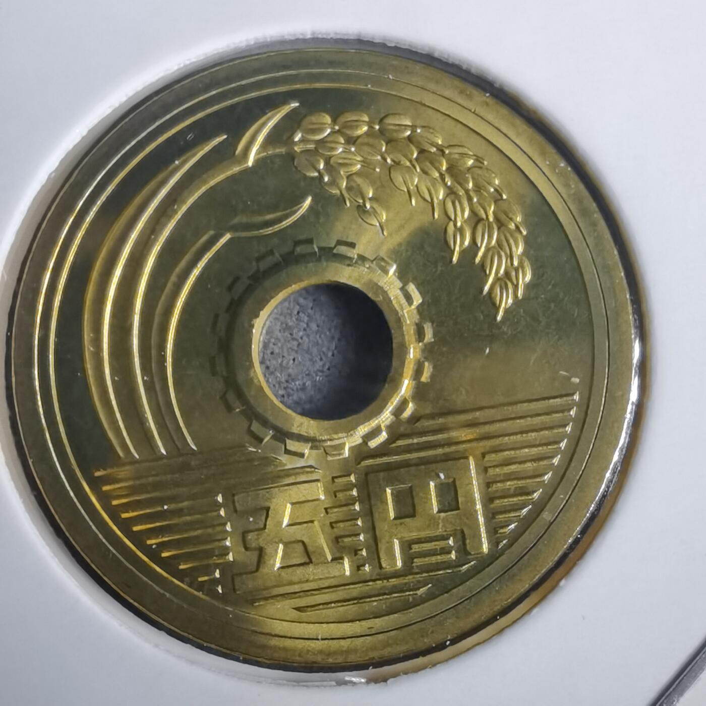 沼泽如烟--第953场 平成十七年五円