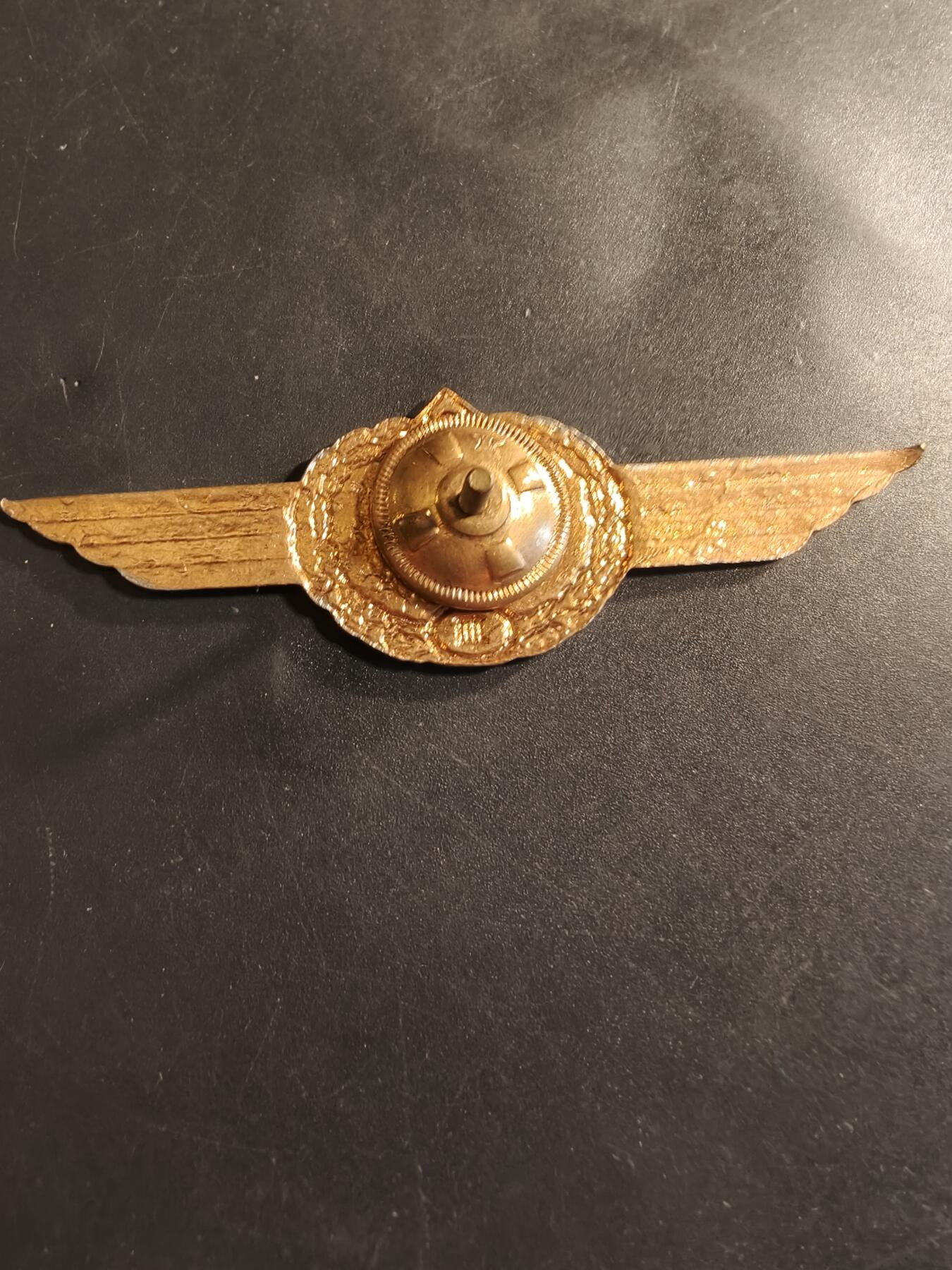 老王徽章第174期 东德伞降2级技能章