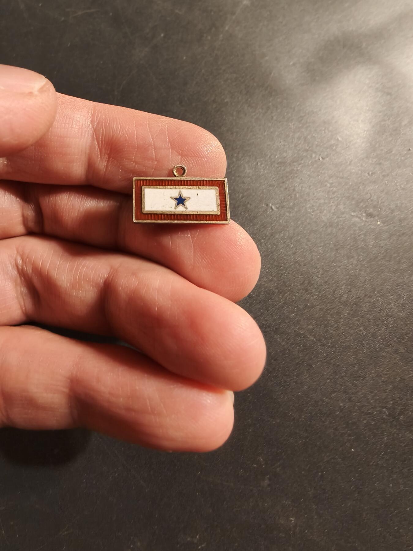 老王徽章第174期