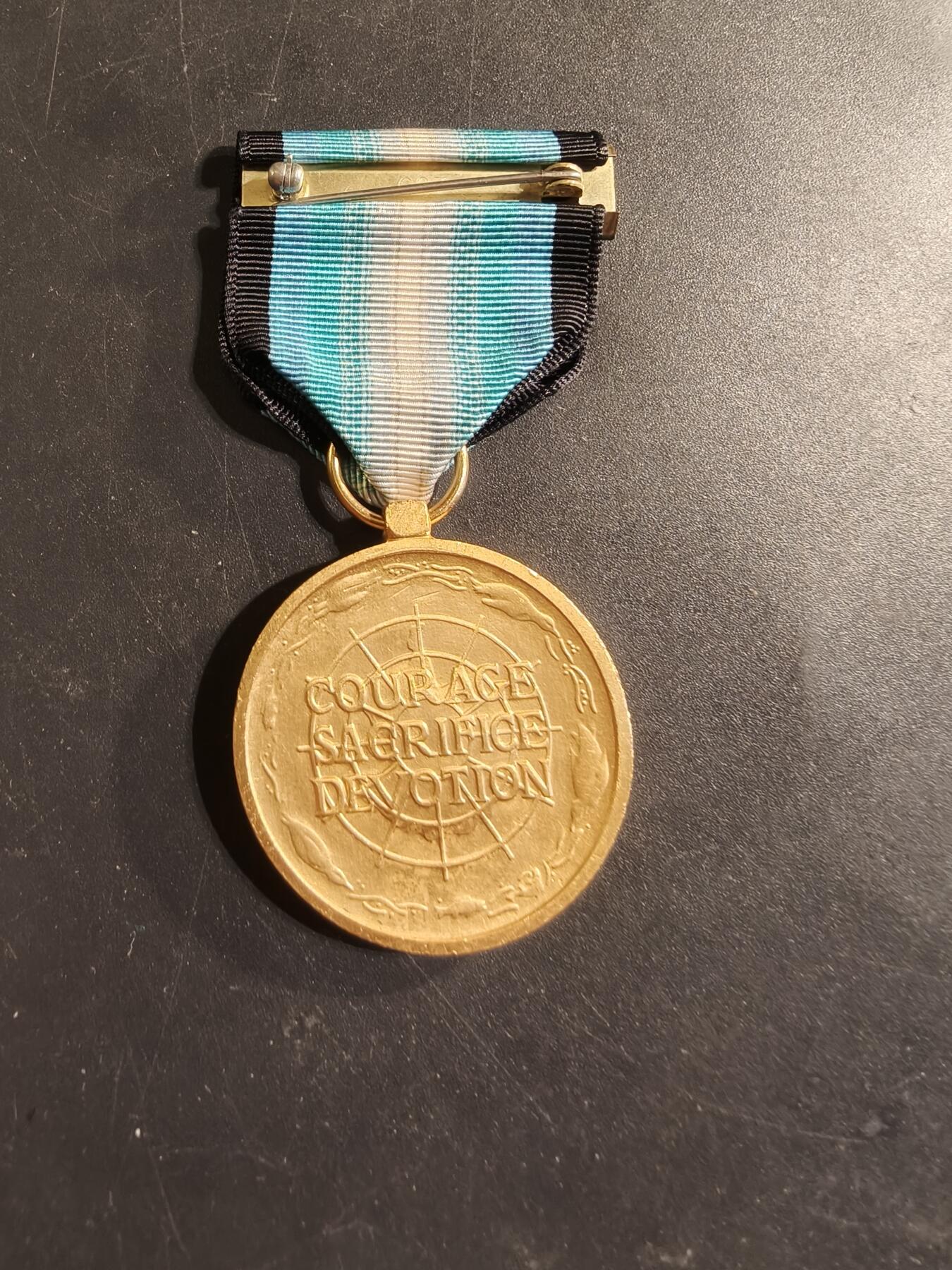 老王徽章第174期 美国南极洲服役奖章