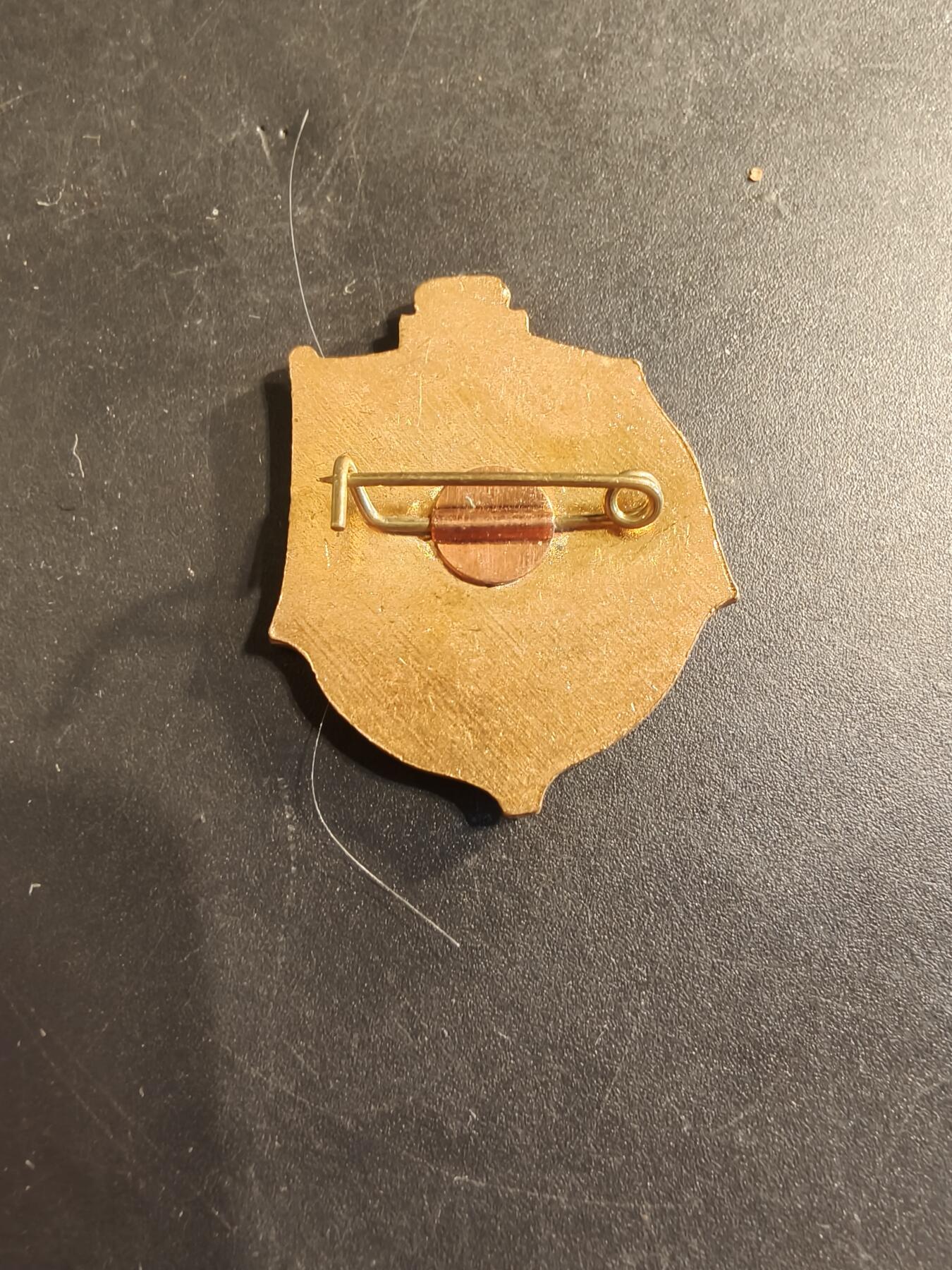 老王徽章第174期 1985年苏联海军941型“鲨鱼”级（北约代号“台风”级）重型战略导弹核潜艇证章