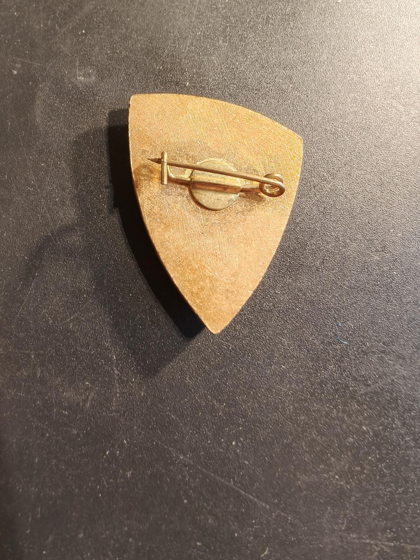 老王徽章第174期 1982年苏联海军941型“鲨鱼”级（北约代号“台风”级）重型战略导弹核潜艇证章