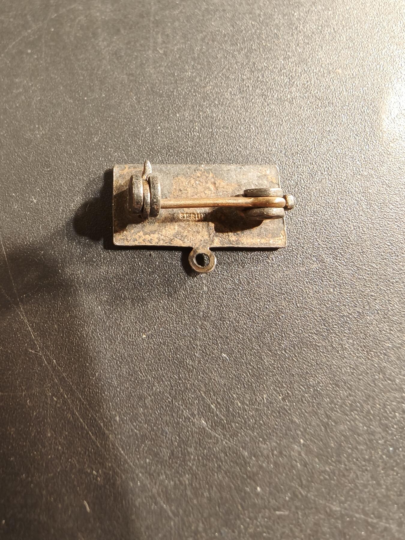 老王徽章第174期