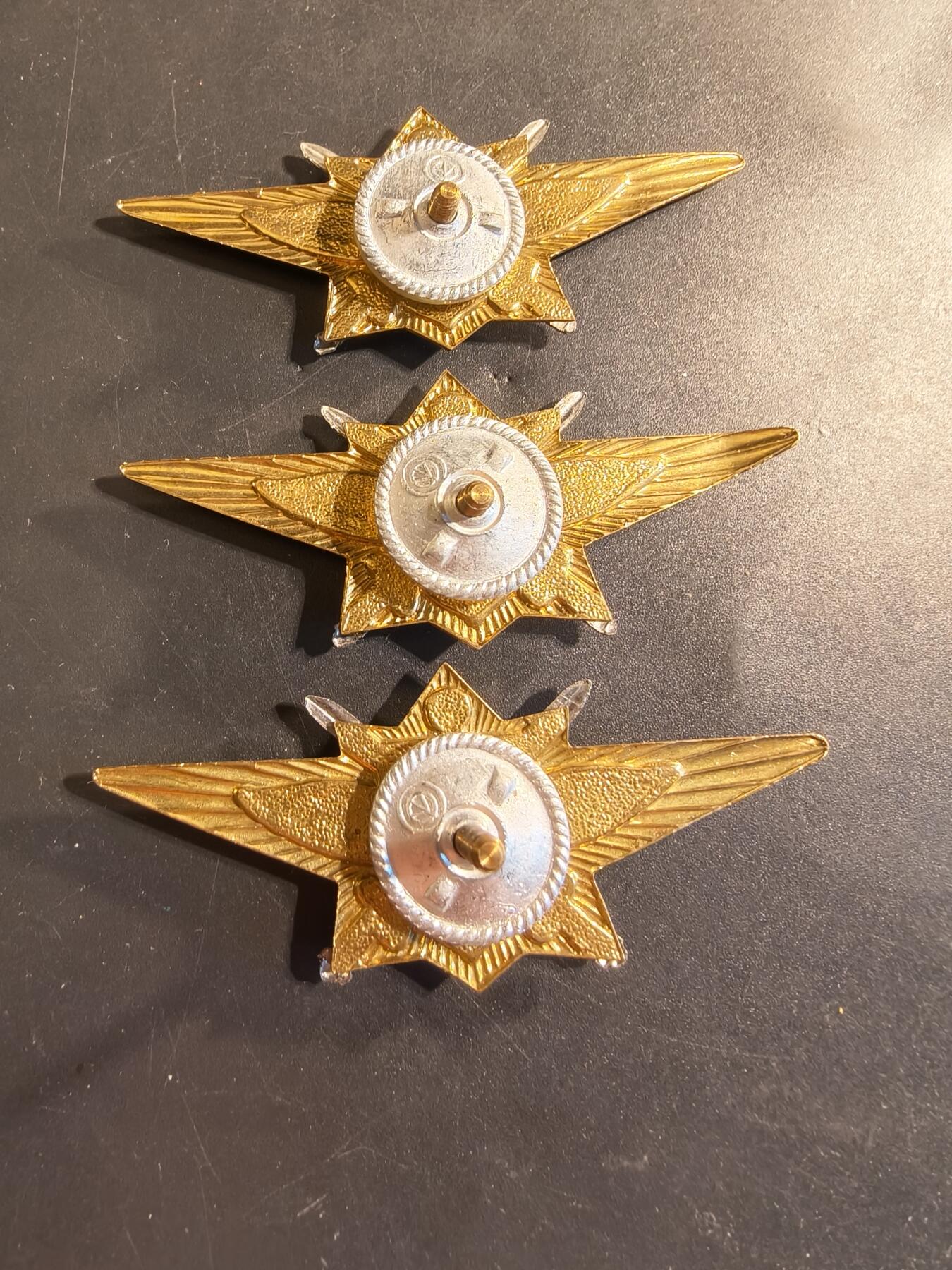 老王徽章第174期 俄罗斯空军123级飞行员技能章一组