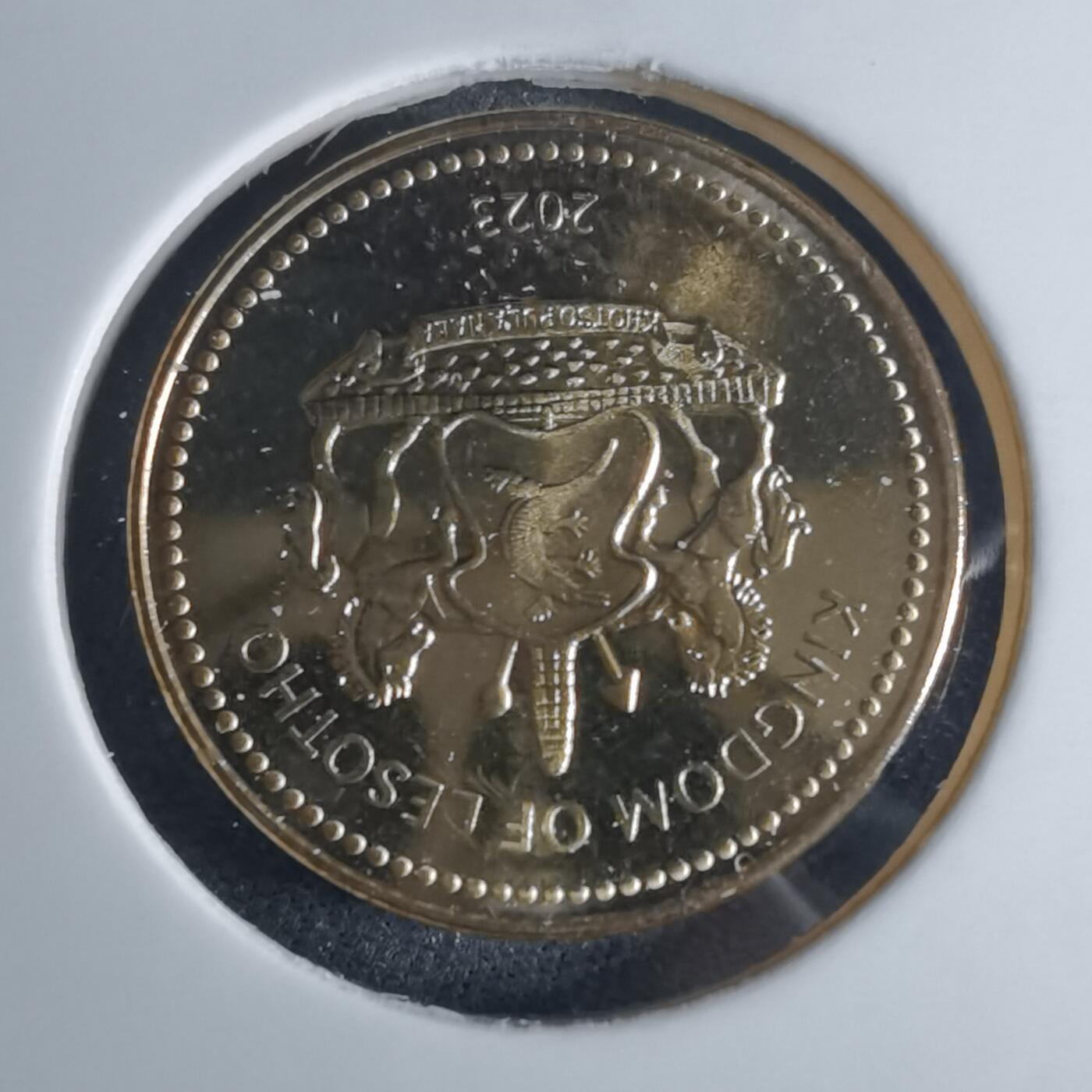 沼泽如烟--第953场 莱索托2023年20分