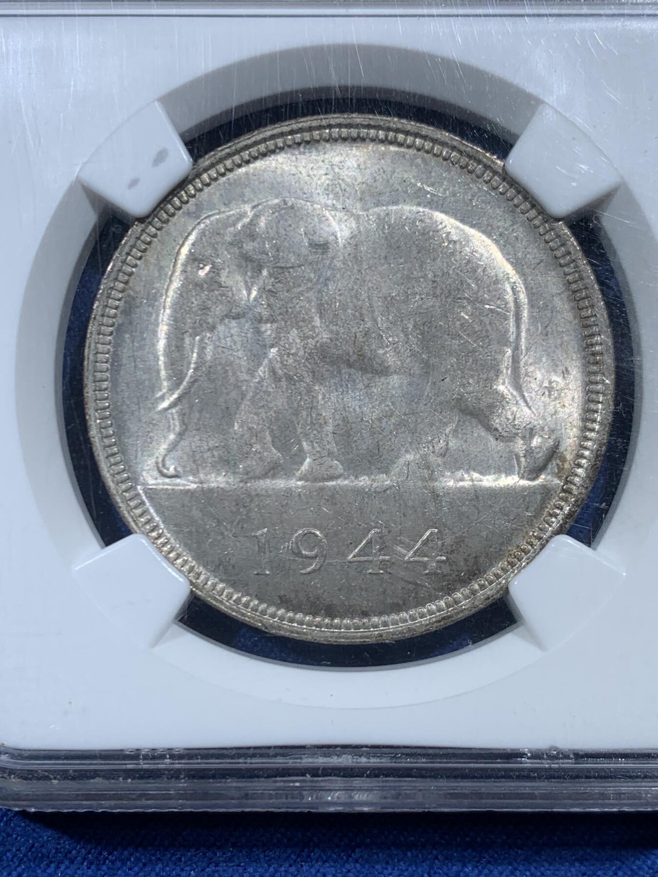 《竞宝斋》第454场 周日，周一 2场连拍 （全场包邮，欢迎送拍） NGC MS63 比属刚果1944年大象50法郎大银币，非洲名誉品，同分书价500美金。淡彩好状态，NGC老盒保障。殖民地经典主币，非洲象威武雄壮