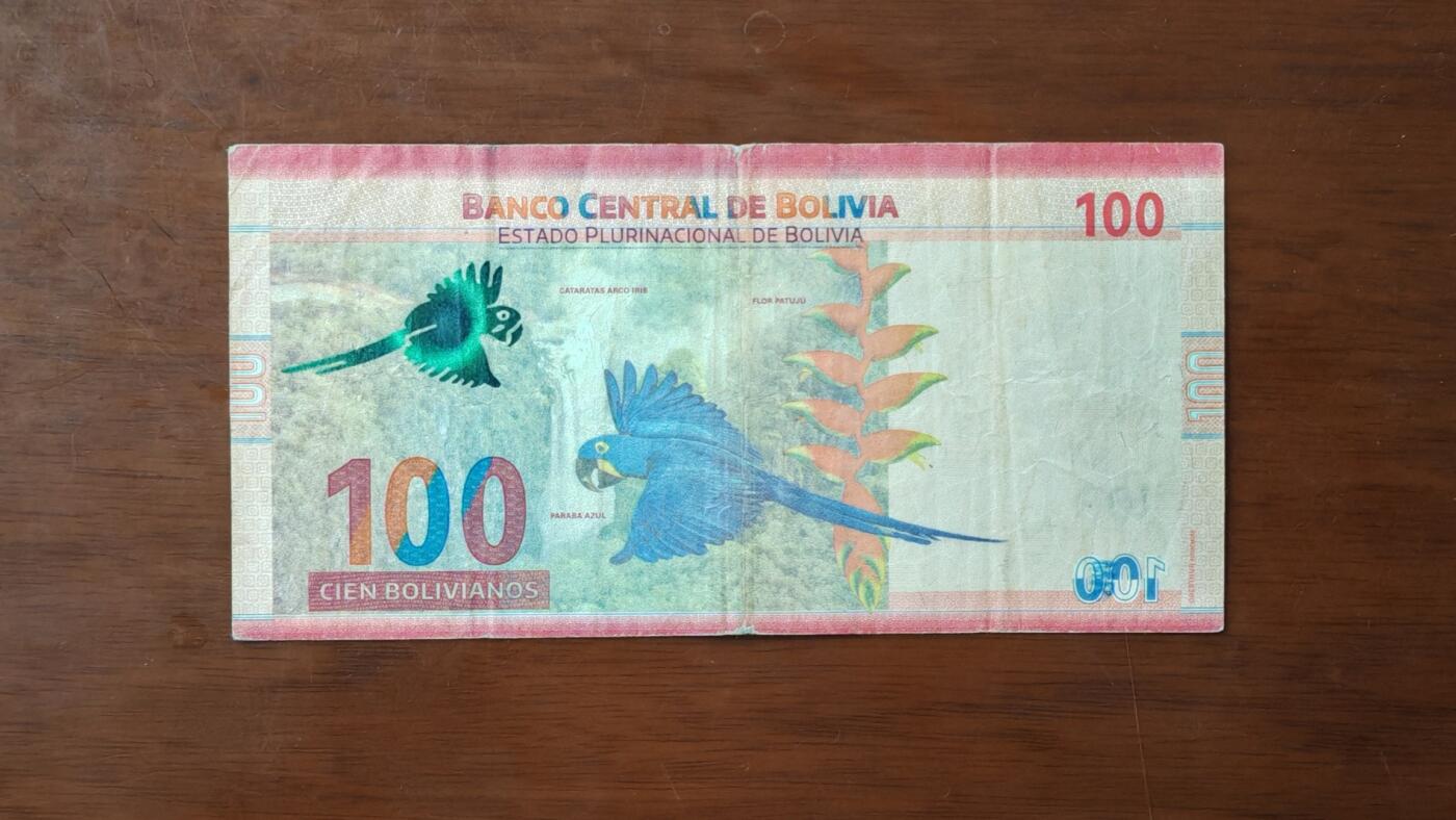 【礼羽收藏】🌏世界钱币拍卖第118期 美洲 玻利维亚 2019年 100诺 流通品 如图