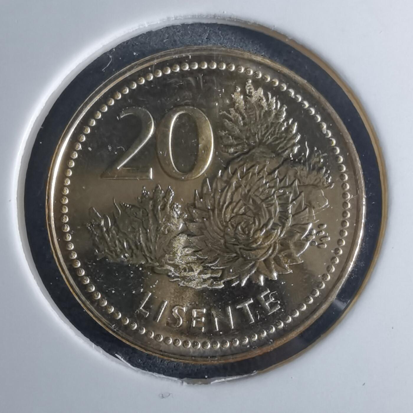 沼泽如烟--第953场 莱索托2023年20分