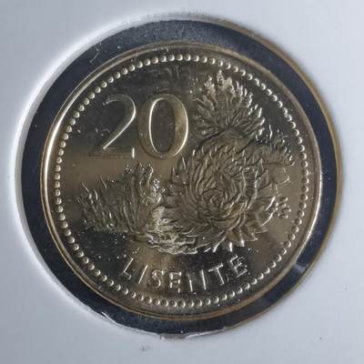 沼泽如烟--第953场 - 莱索托2023年20分