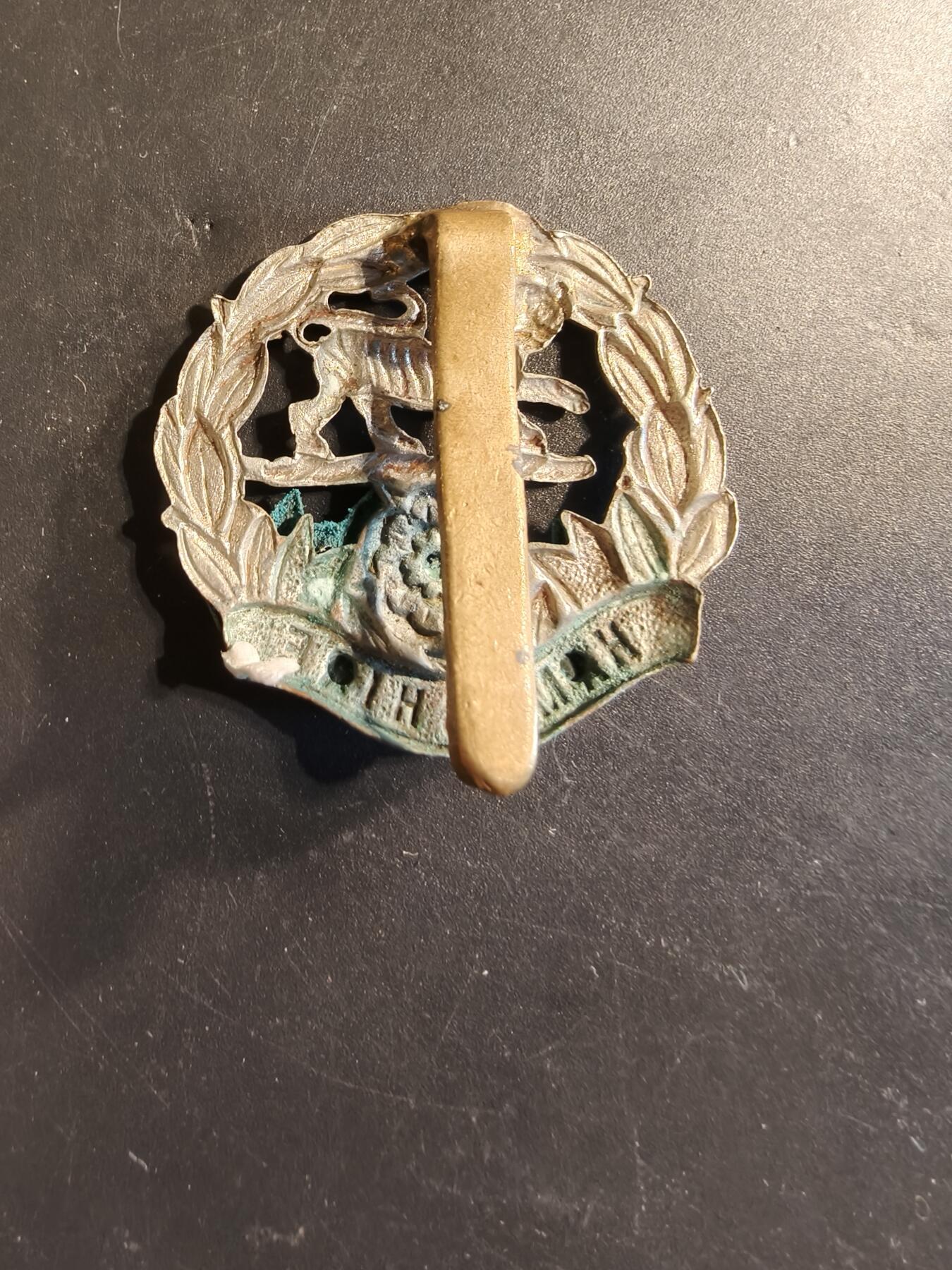 老王徽章第174期 英国皇家汉普步兵团帽徽    一战时期