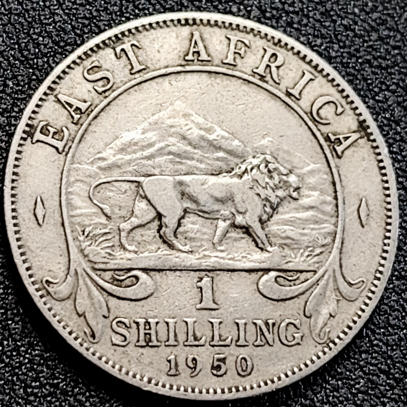 泉币菌-第163场-新年第六场 精品福利场