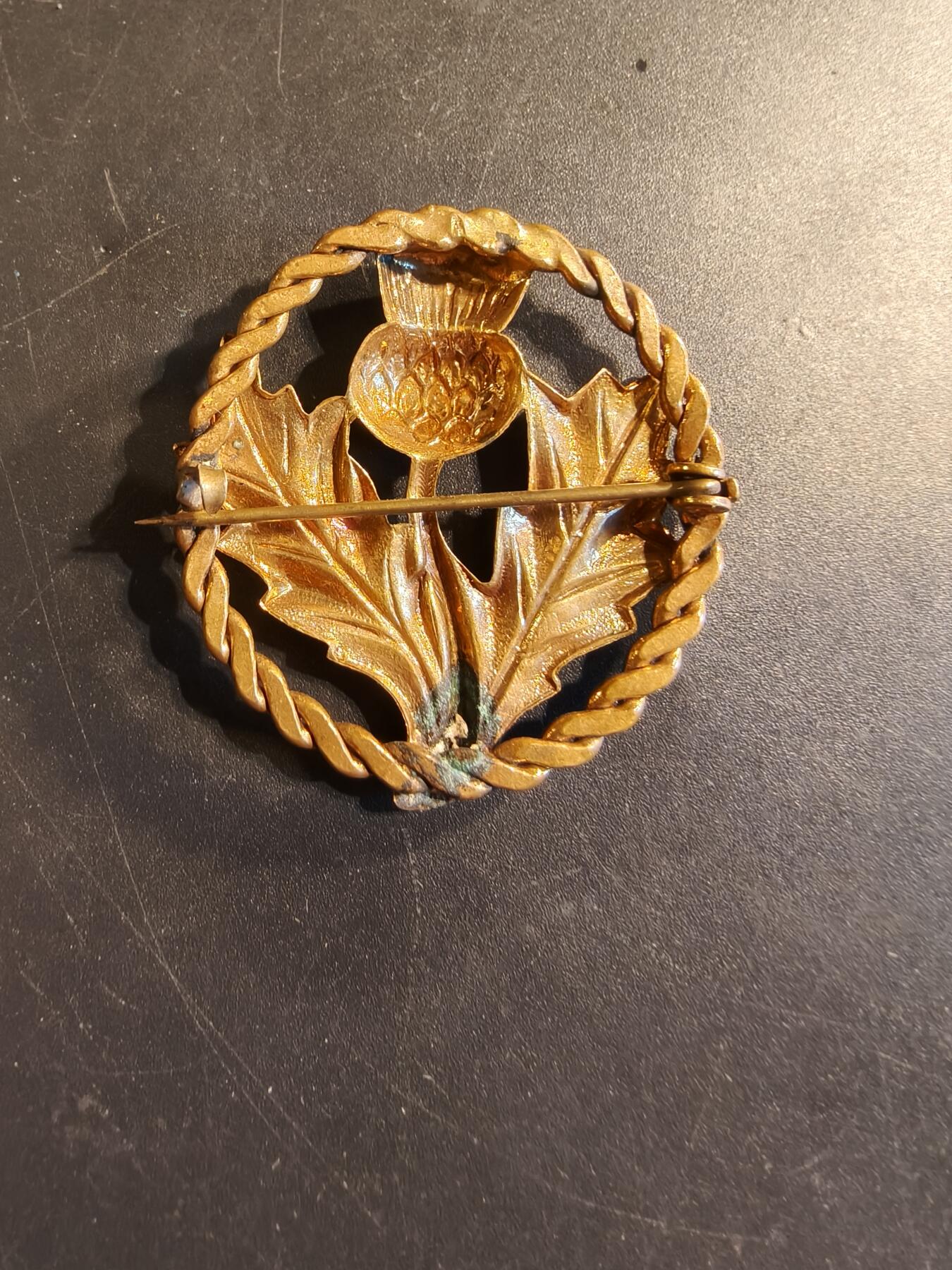 老王徽章第174期 苏格兰蓟花证章