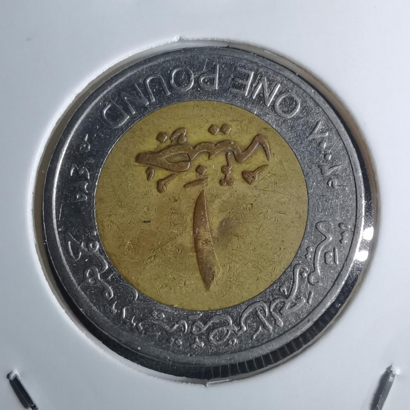 沼泽如烟--第953场 埃及