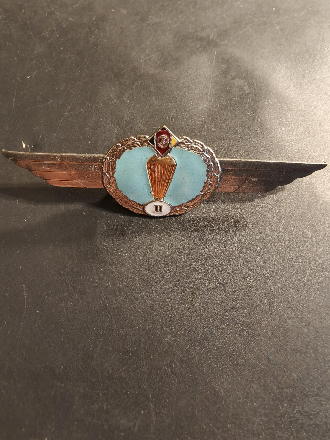 老王徽章第174期 东德伞降2级技能章