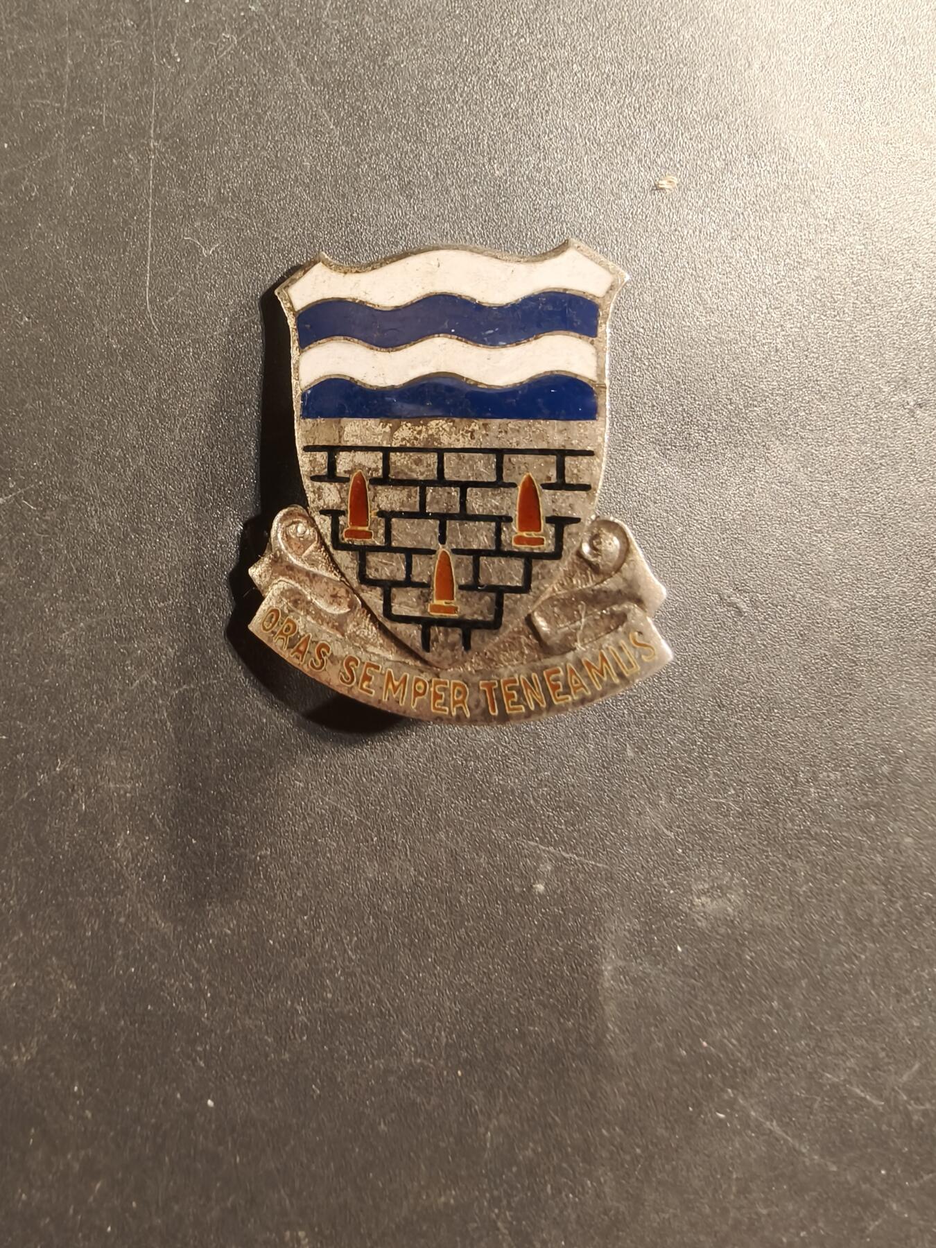 老王徽章第174期 美国陆军第296步兵团证章    二战时期横针版   925银质珐琅    9.2g