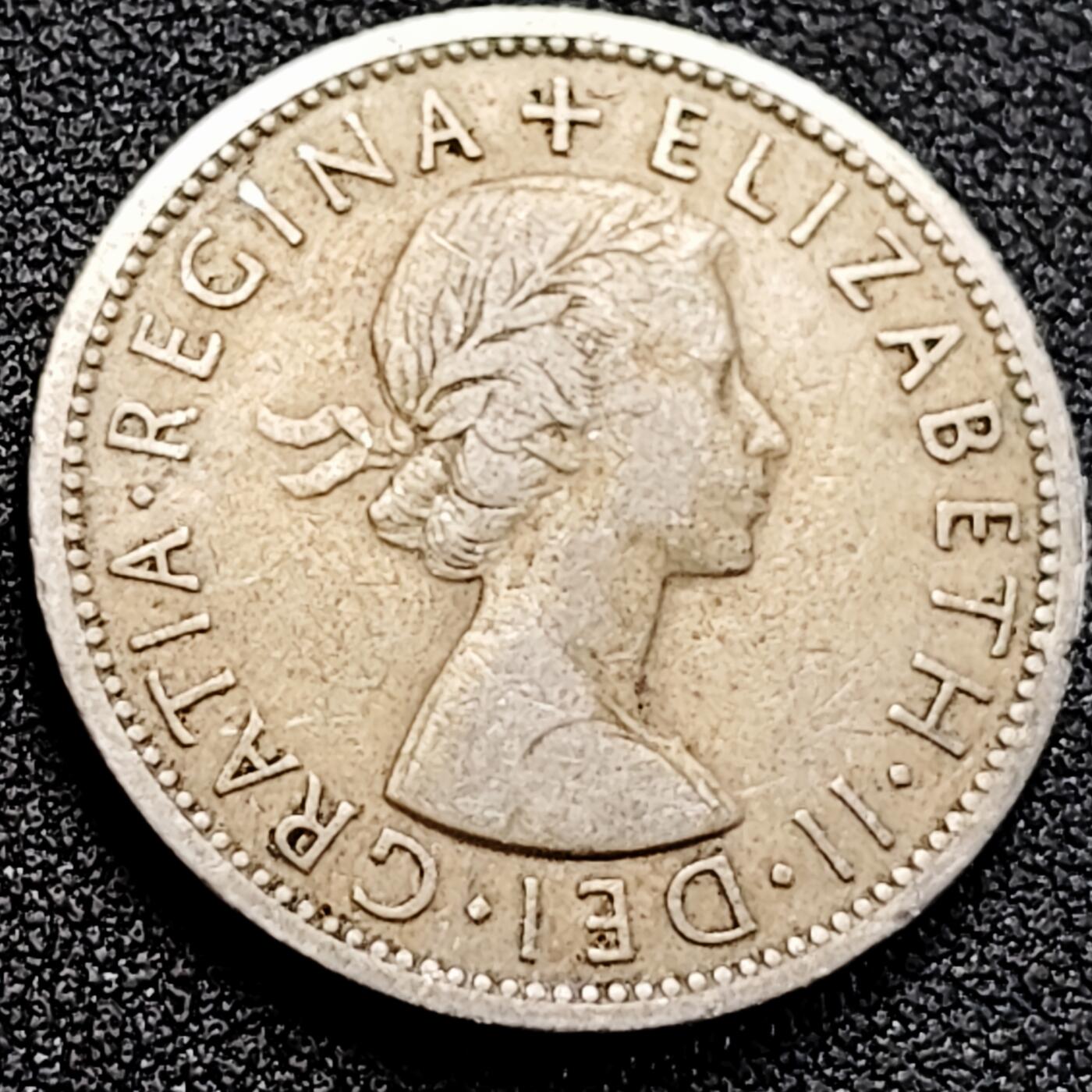 泉币菌-第162场- 新年第五场 精品福利场